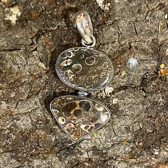 Jewelry - Turritella Agate 925 Silver Pendant